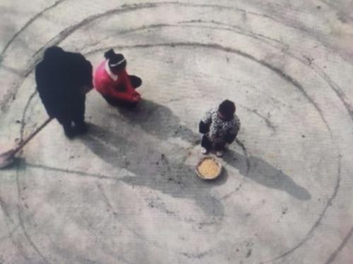 擺閘,三輥閘,速通閘,旋轉(zhuǎn)閘,平移閘,一字閘,人臉識別，