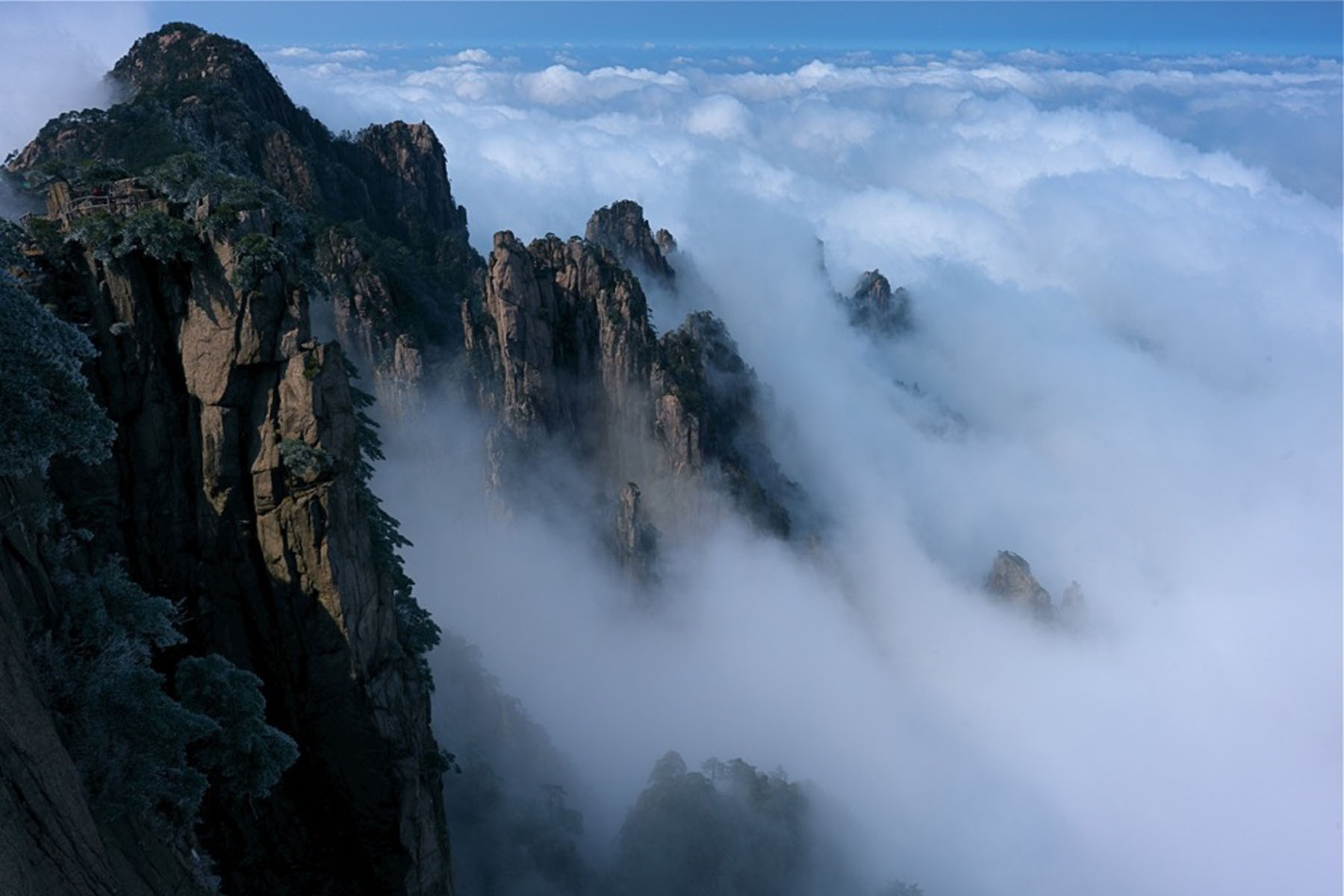 擺閘,三輥閘,速通閘,旋轉(zhuǎn)閘,平移閘,一字閘,人臉識別，